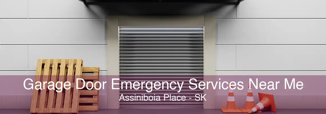 Garage Door Emergency Services Near Me Assiniboia Place - SK