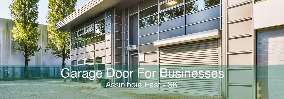Garage Door For Businesses Assiniboia East - SK