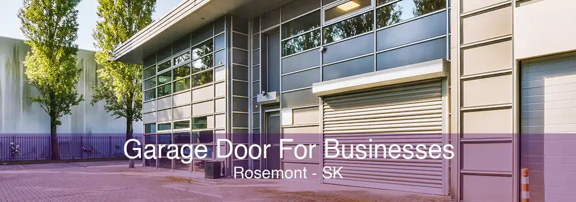 Garage Door For Businesses Rosemont - SK