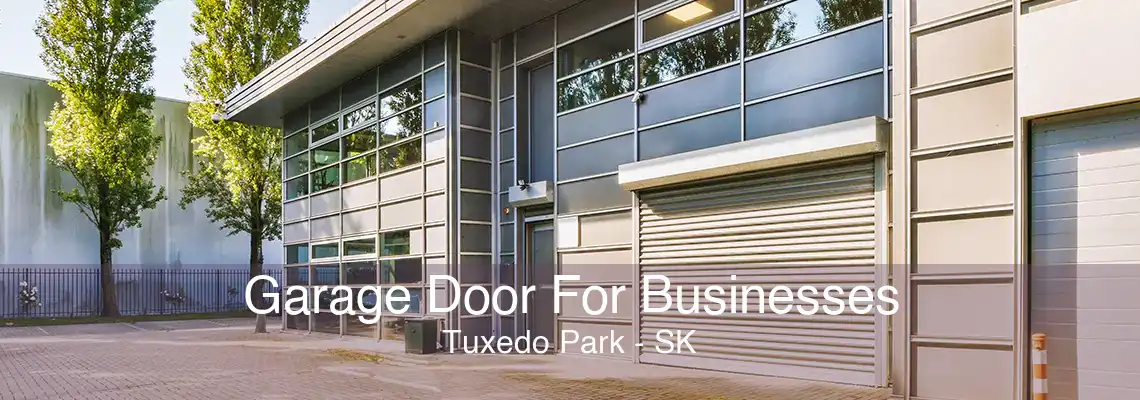 Garage Door For Businesses Tuxedo Park - SK