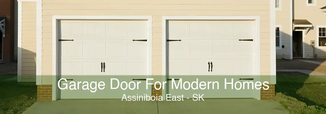 Garage Door For Modern Homes Assiniboia East - SK