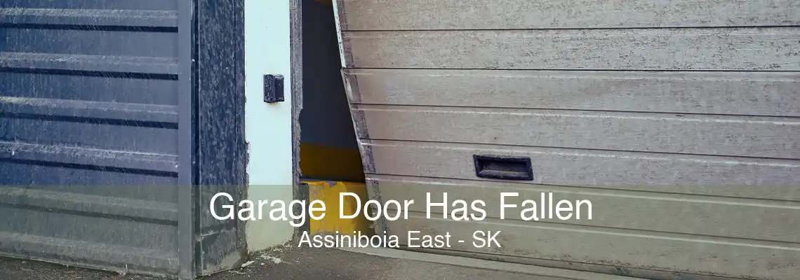 Garage Door Has Fallen Assiniboia East - SK