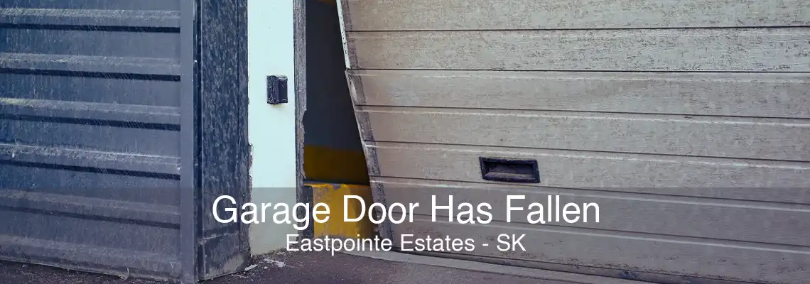 Garage Door Has Fallen Eastpointe Estates - SK