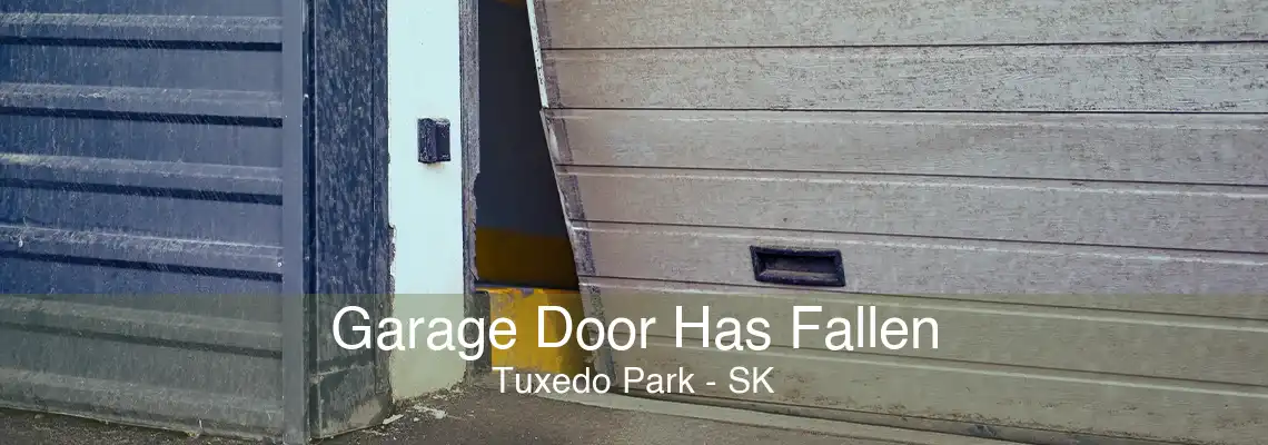 Garage Door Has Fallen Tuxedo Park - SK