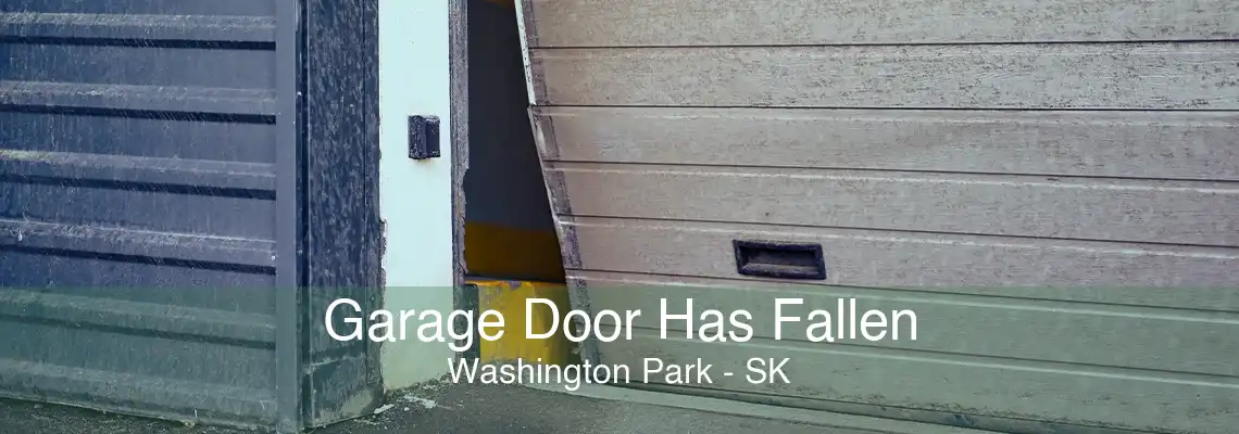 Garage Door Has Fallen Washington Park - SK