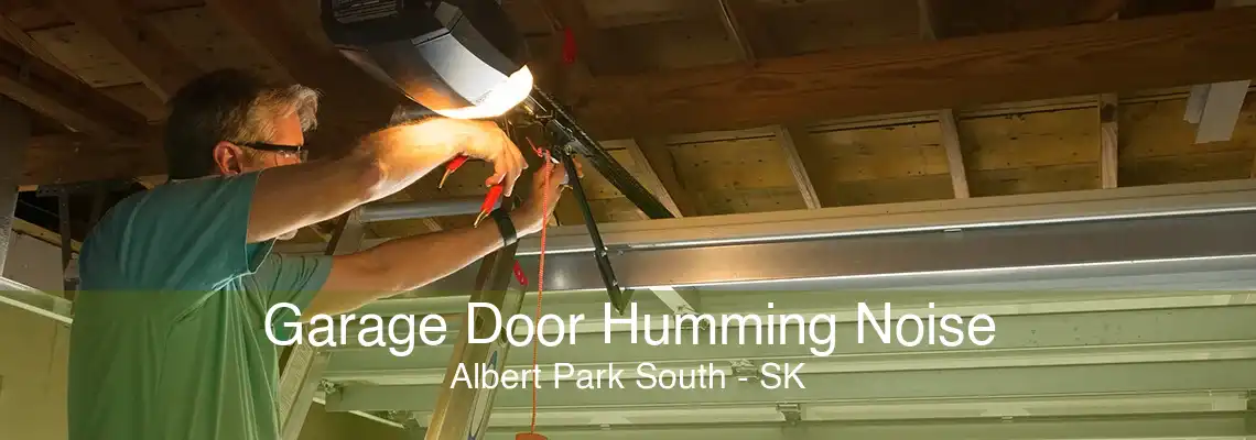 Garage Door Humming Noise Albert Park South - SK