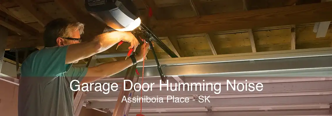 Garage Door Humming Noise Assiniboia Place - SK