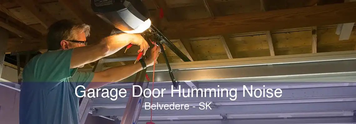 Garage Door Humming Noise Belvedere - SK
