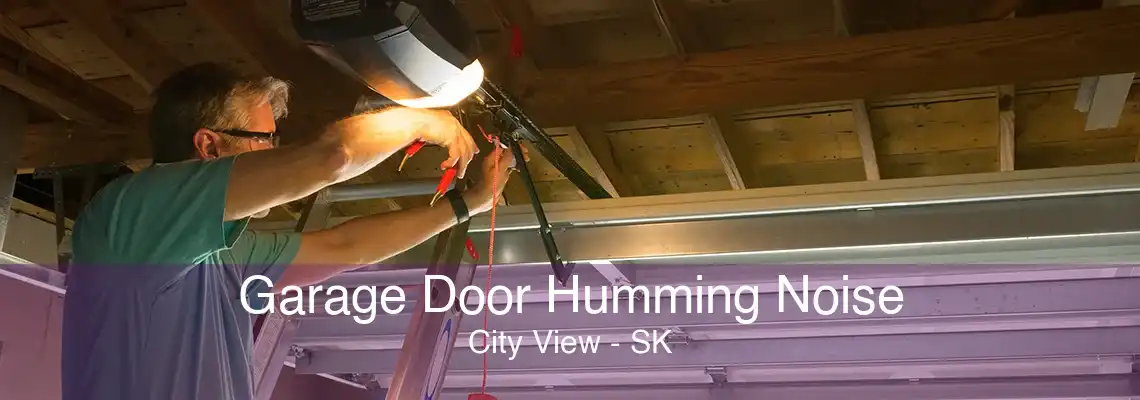 Garage Door Humming Noise City View - SK