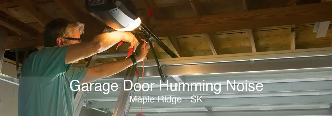 Garage Door Humming Noise Maple Ridge - SK
