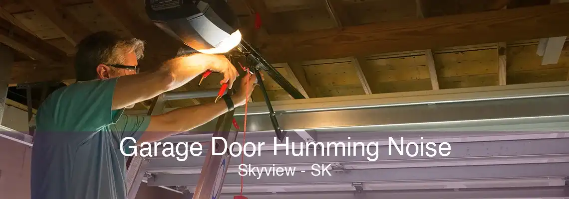 Garage Door Humming Noise Skyview - SK