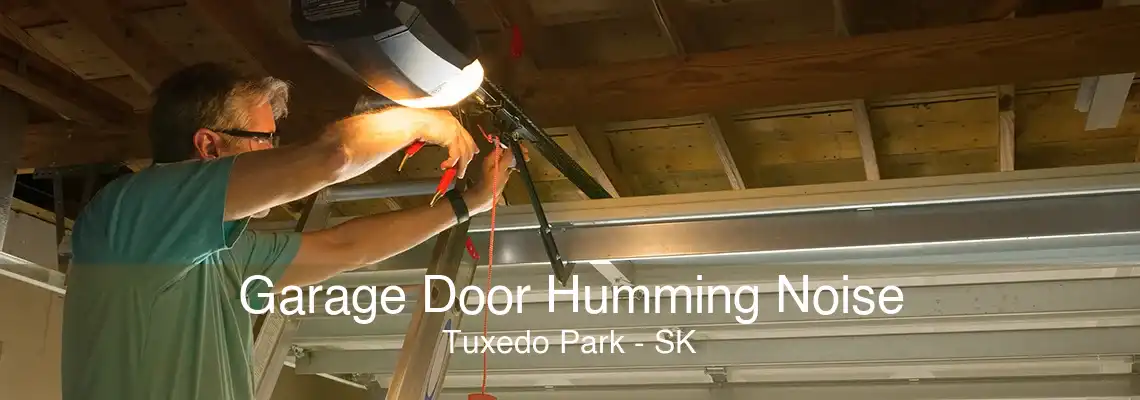 Garage Door Humming Noise Tuxedo Park - SK
