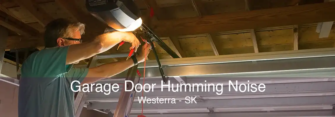 Garage Door Humming Noise Westerra - SK