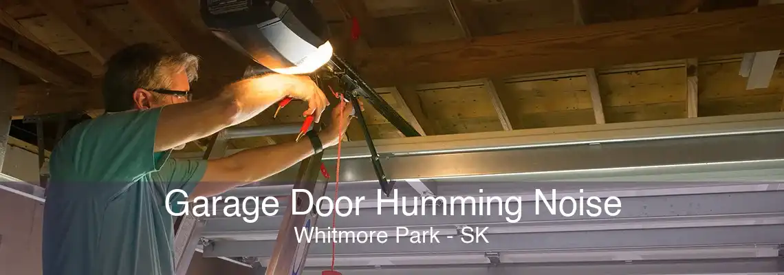 Garage Door Humming Noise Whitmore Park - SK