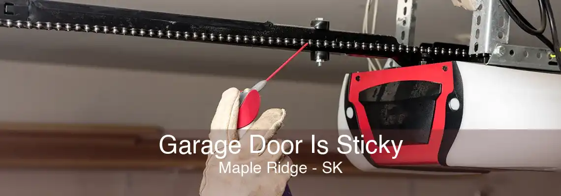 Garage Door Is Sticky Maple Ridge - SK