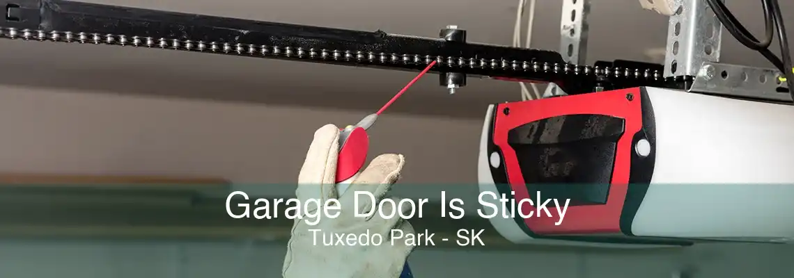 Garage Door Is Sticky Tuxedo Park - SK