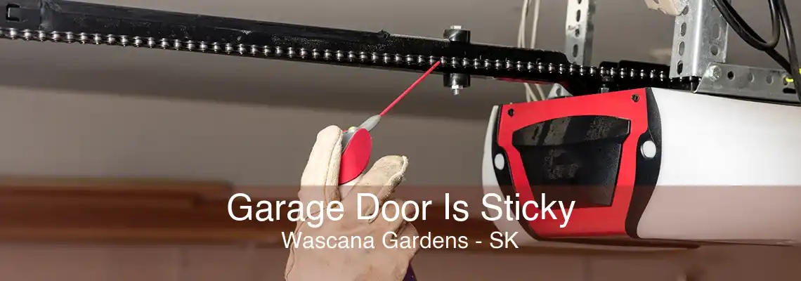 Garage Door Is Sticky Wascana Gardens - SK