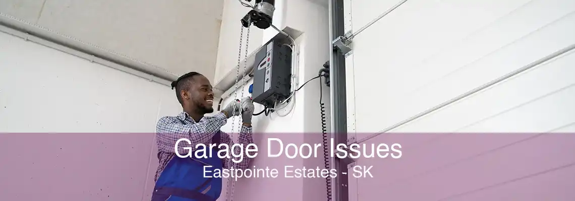 Garage Door Issues Eastpointe Estates - SK