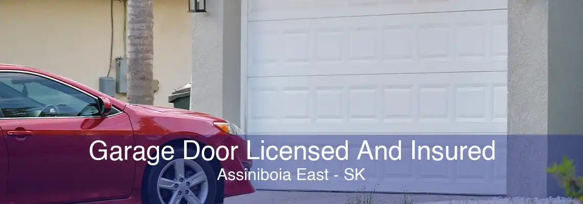 Garage Door Licensed And Insured Assiniboia East - SK