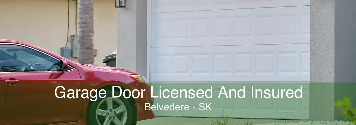 Garage Door Licensed And Insured Belvedere - SK