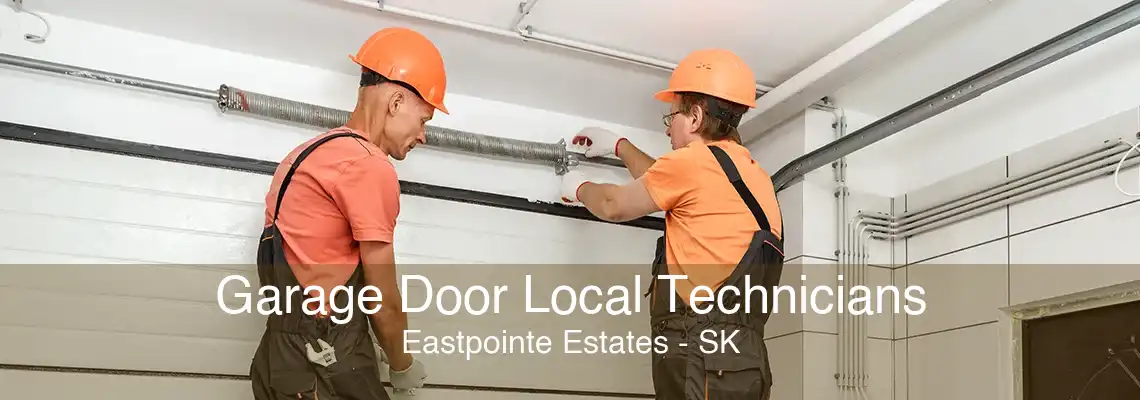 Garage Door Local Technicians Eastpointe Estates - SK