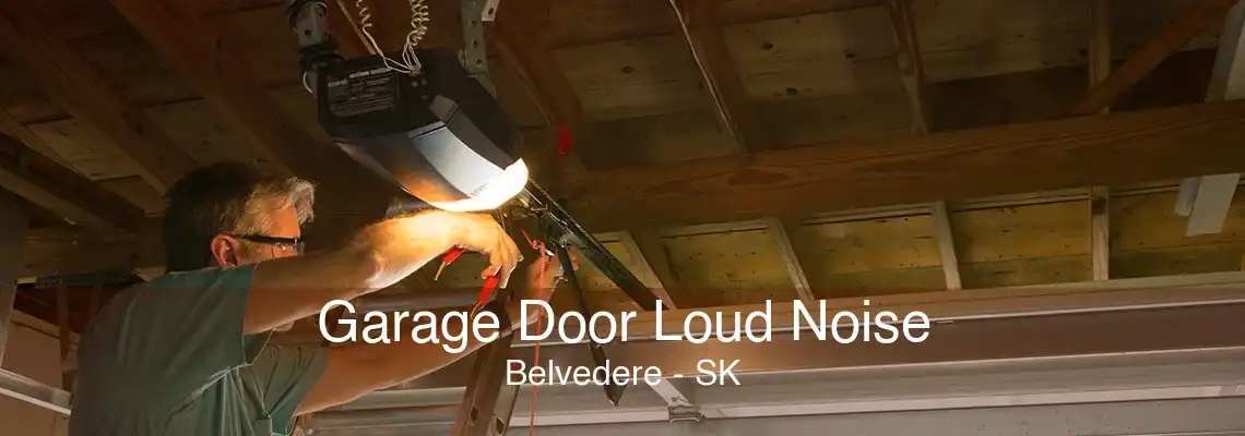 Garage Door Loud Noise Belvedere - SK