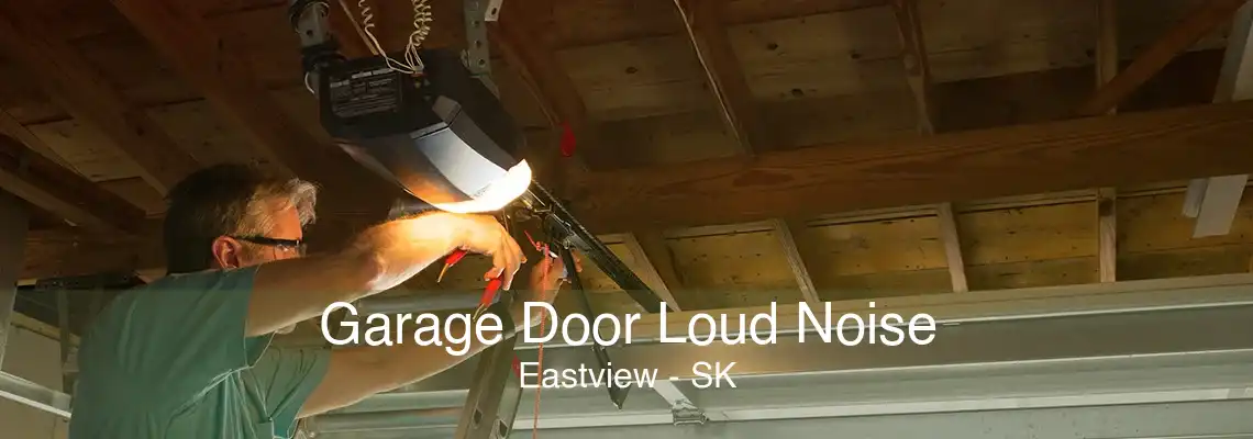 Garage Door Loud Noise Eastview - SK