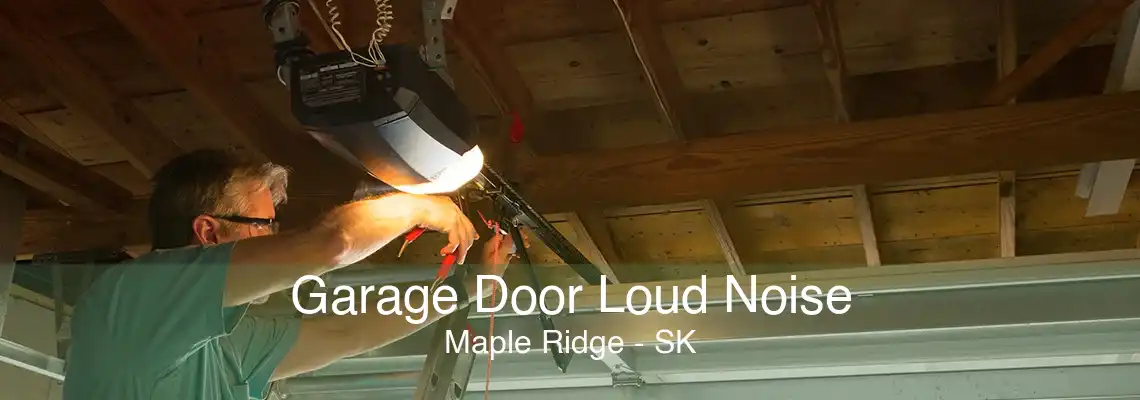 Garage Door Loud Noise Maple Ridge - SK