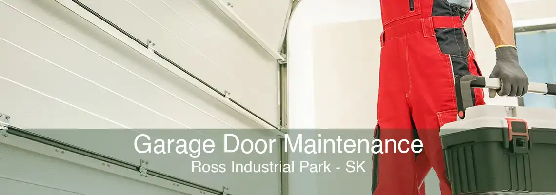 Garage Door Maintenance Ross Industrial Park - SK