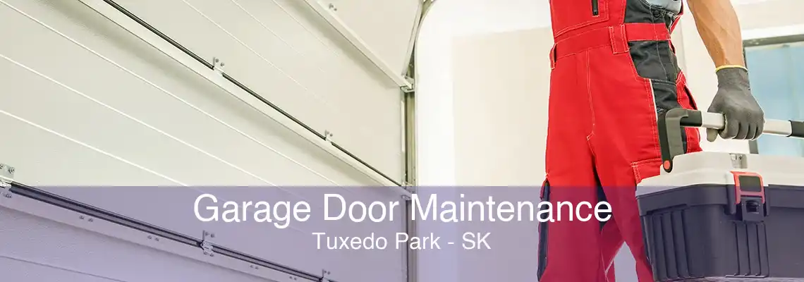 Garage Door Maintenance Tuxedo Park - SK