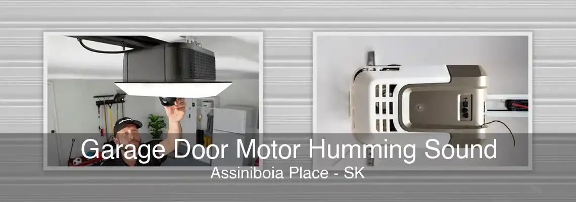 Garage Door Motor Humming Sound Assiniboia Place - SK