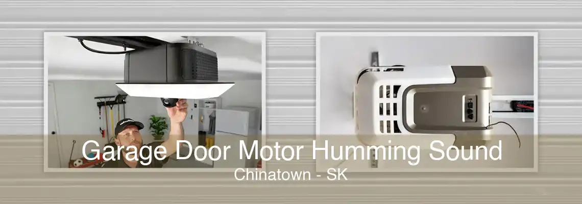 Garage Door Motor Humming Sound Chinatown - SK