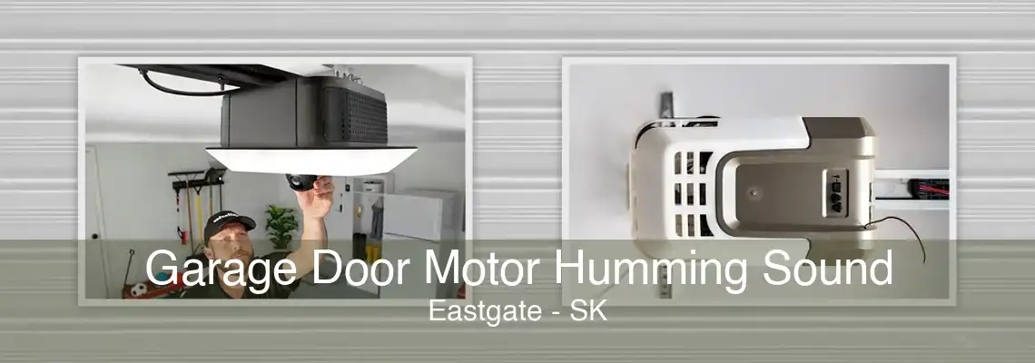 Garage Door Motor Humming Sound Eastgate - SK