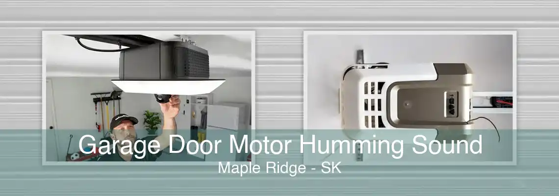 Garage Door Motor Humming Sound Maple Ridge - SK