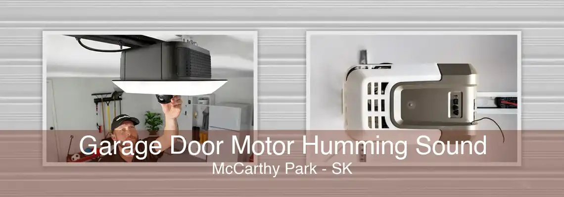 Garage Door Motor Humming Sound McCarthy Park - SK