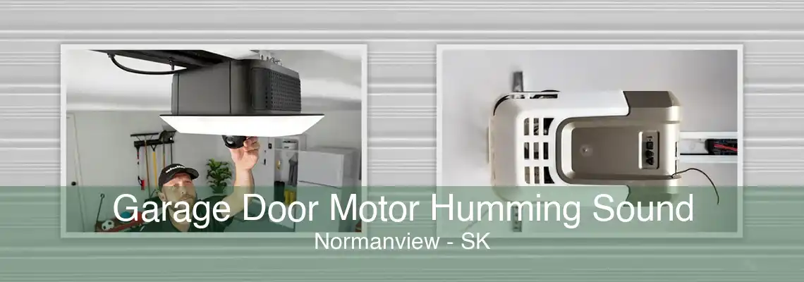 Garage Door Motor Humming Sound Normanview - SK