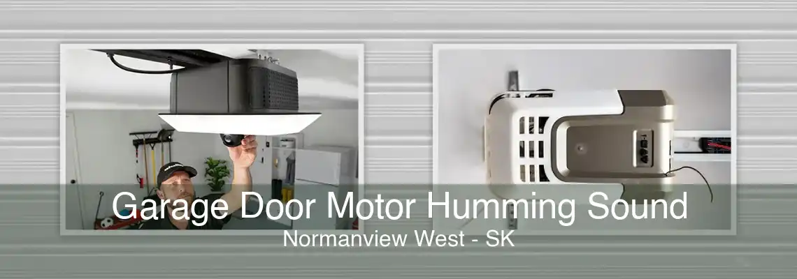 Garage Door Motor Humming Sound Normanview West - SK