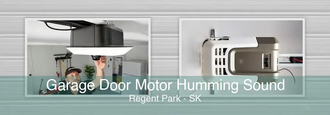 Garage Door Motor Humming Sound Regent Park - SK
