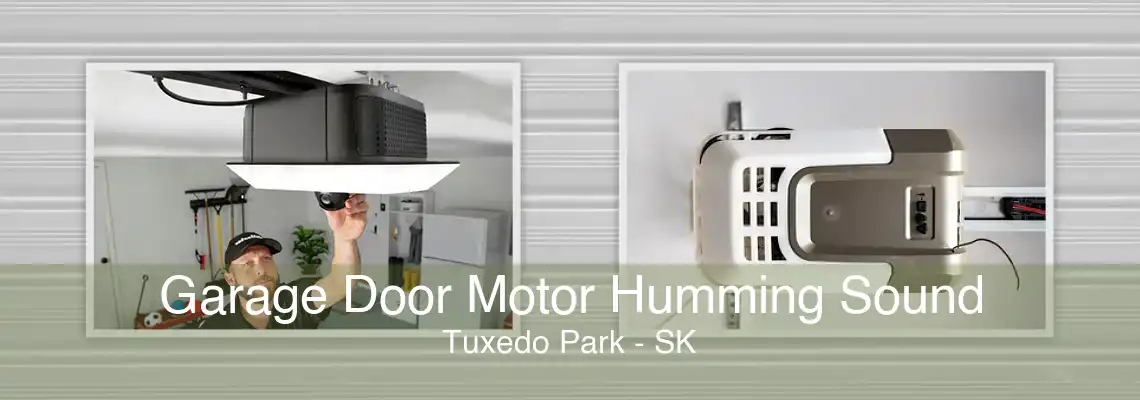 Garage Door Motor Humming Sound Tuxedo Park - SK