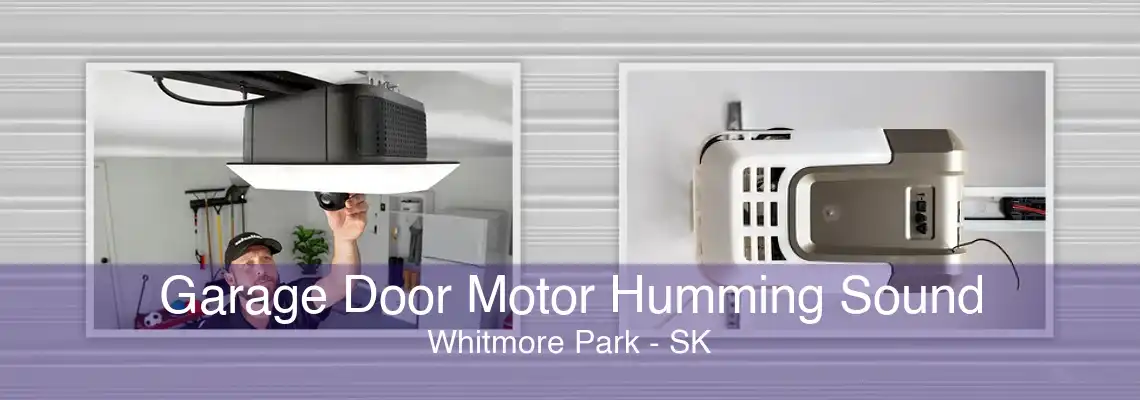 Garage Door Motor Humming Sound Whitmore Park - SK