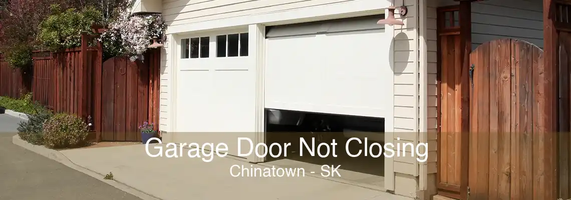 Garage Door Not Closing Chinatown - SK
