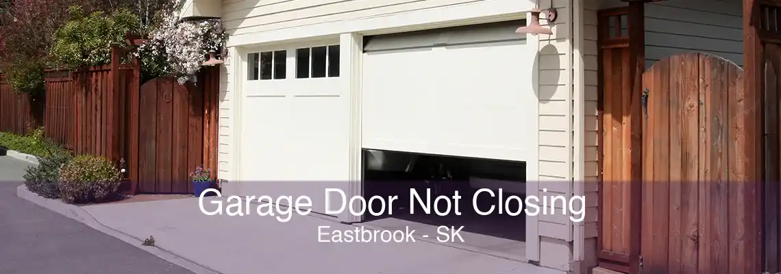 Garage Door Not Closing Eastbrook - SK