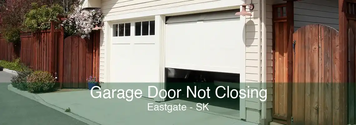 Garage Door Not Closing Eastgate - SK