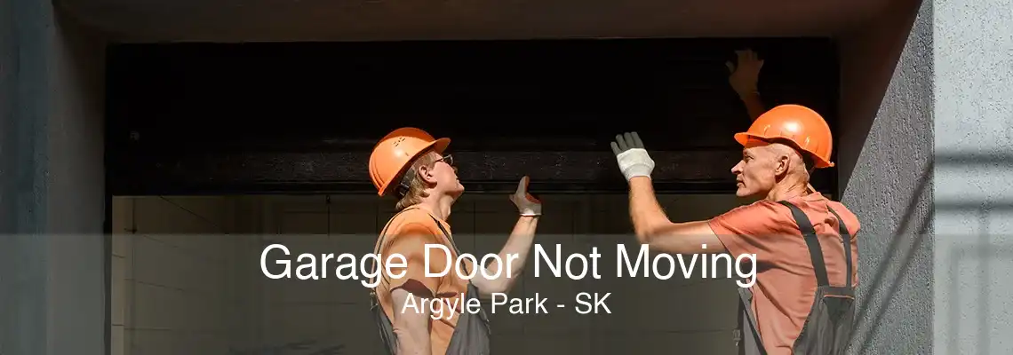 Garage Door Not Moving Argyle Park - SK