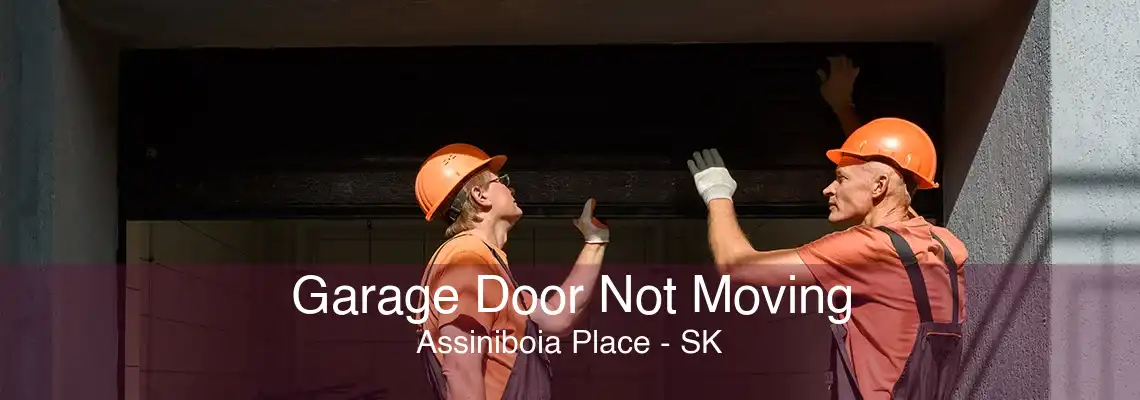 Garage Door Not Moving Assiniboia Place - SK