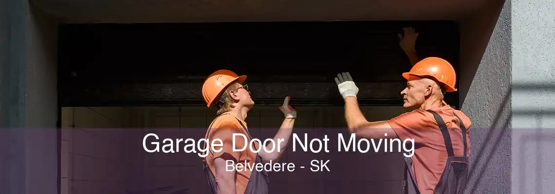 Garage Door Not Moving Belvedere - SK