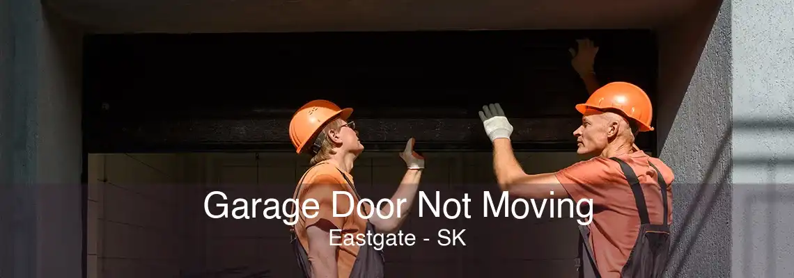 Garage Door Not Moving Eastgate - SK