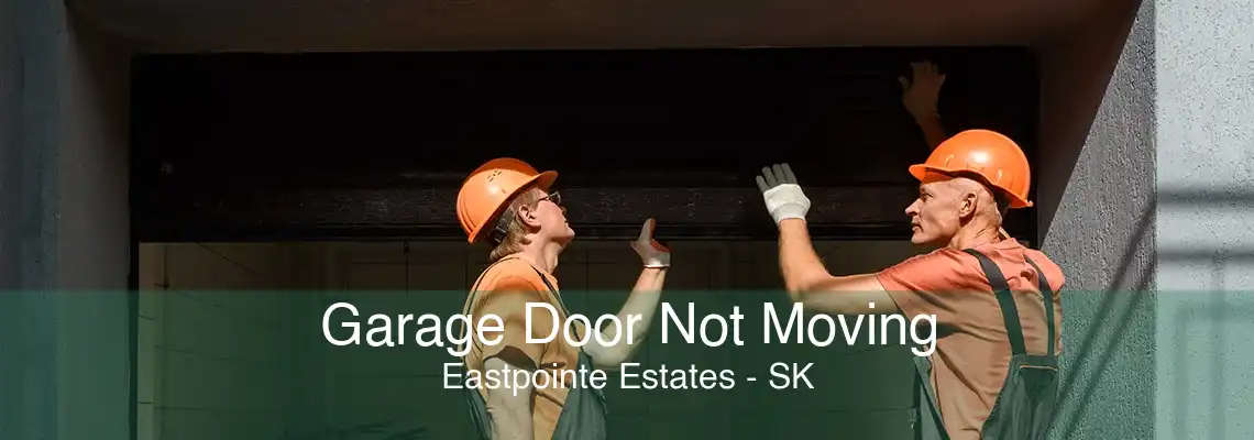 Garage Door Not Moving Eastpointe Estates - SK