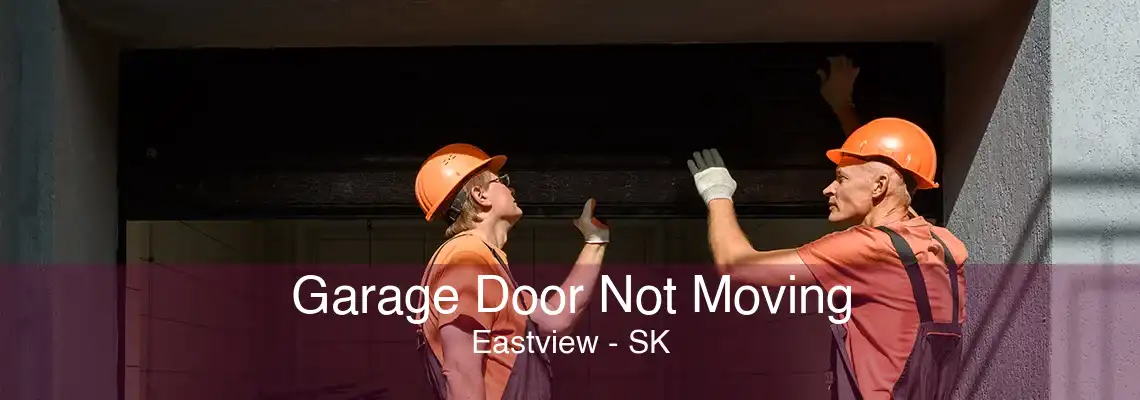 Garage Door Not Moving Eastview - SK
