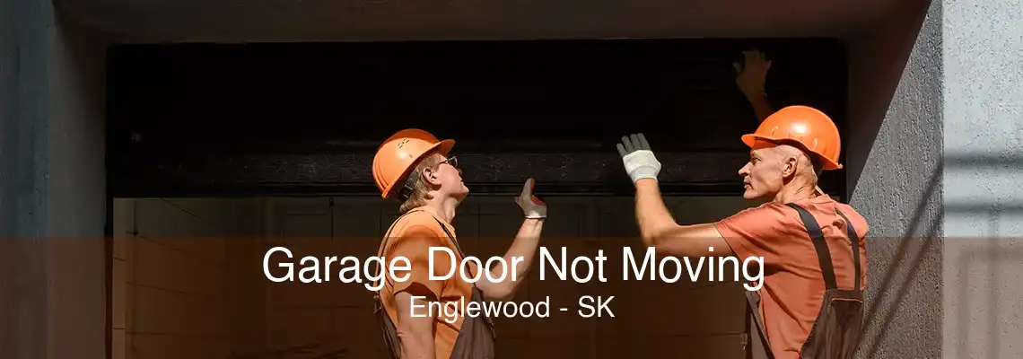 Garage Door Not Moving Englewood - SK